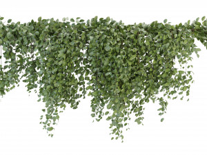 Collection Plant Vol 266 - Blender Model Model 3D