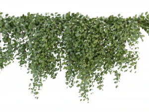 Collection Plant Vol 266 - Blender Model 3D Model