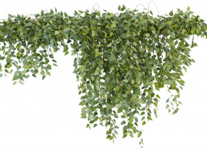 Collection Plant Vol 266 - Blender Model Model 3D