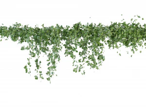 Collection Plant Vol 266 - Blender Model 3D Model