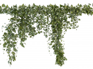Collection Plant Vol 266 - Blender Model Model 3D