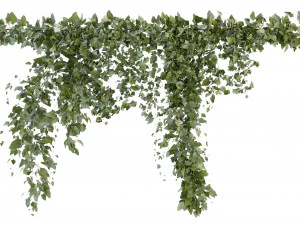 Collection Plant Vol 266 - Blender Model 3D Model