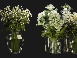 Collection Plant Vol 267 - Blender Model Modèle 3D