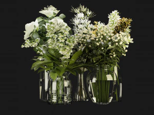 Collection Plant Vol 267 - Blender Model 3D Model