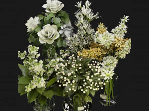 Collection Plant Vol 267 - Blender Model 3D Model