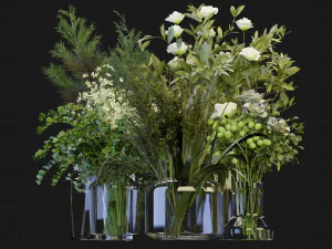 Collection Plant Vol 268 - Blender Model 3D Model
