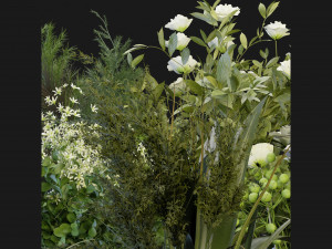 Collection Plant Vol 268 - Blender Model 3D Model