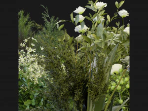 Collection Plant Vol 268 - Blender Model 3D Model