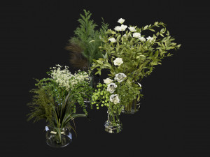 Collection Plant Vol 268 - Blender Model 3D Model