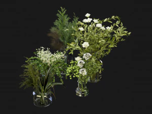 Collection Plant Vol 268 - Blender Model 3D Model