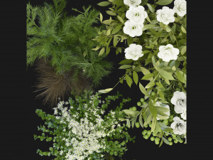 Collection Plant Vol 268 - Blender Model 3D Model