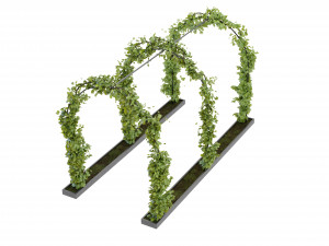 Collection Plant Vol 269 - Blender Model 3D Model