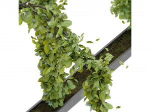 Collection Plant Vol 269 - Blender Model 3D Model