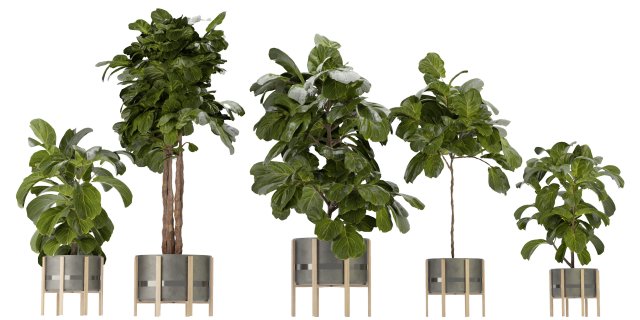 Collection Plant Vol 270 - Blender Model 3D Model .c4d .max .obj .3ds .fbx .stl .blend 