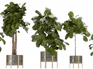 Collection Plant Vol 270 - Blender Model Modèle 3D