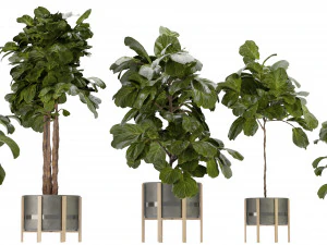 Collection Plant Vol 270 &ndash; Blender-Modell 3D Modell