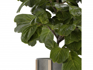 Collection Plant Vol 270 - Blender Model 3D Model