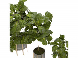 Collection Plant Vol 270 - Blender Model 3D Model