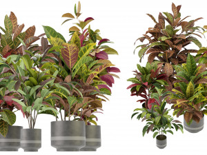 Collection Plant Vol 271 - Blender Model 3D Model