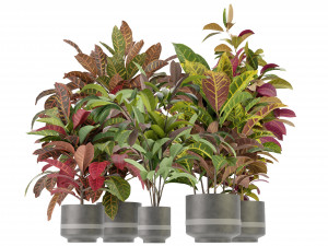 Collection Plant Vol 271 - Blender Model 3Dモデル