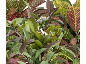 Collection Plant Vol 271 - Blender Model 3Dモデル