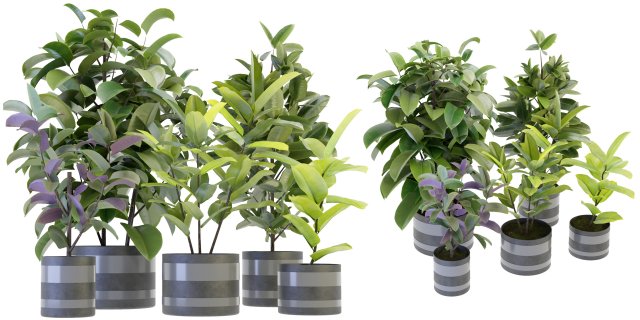 Collection Plant Vol 272 - Blender Model Modello 3D .c4d .max .obj .3ds .fbx .stl .blend 