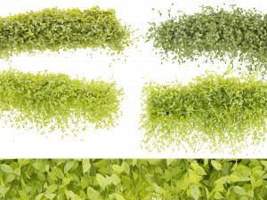 Collection Plant Vol 273 - Blender Model 3D Model