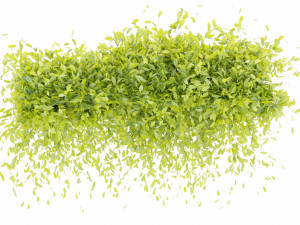 Collection Plant Vol 273 - Blender Model Modelo 3D