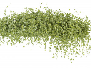 Collection Plant Vol 273 - Blender Model Modelo 3D