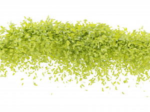 Collection Plant Vol 273 - Blender Model Modelo 3D