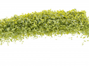 Collection Plant Vol 273 - Blender Model Modelo 3D