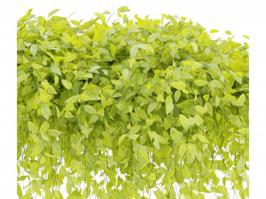 Collection Plant Vol 273 - Blender Model Modelo 3D