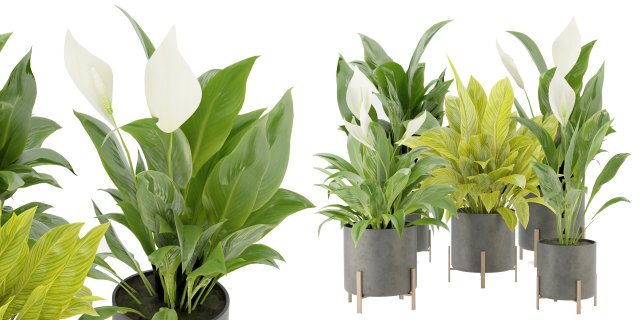 Collection Plant Vol 274 - Blender Model 3Dモデル .c4d .max .obj .3ds .fbx .stl .blend 