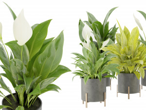 Collection Plant Vol 274 - Blender Model 3D Model