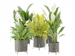 Collection Plant Vol 274 - Blender Model 3Dモデル