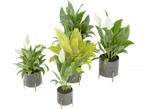 Collection Plant Vol 274 - Blender Model 3Dモデル