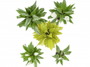 Collection Plant Vol 274 - Blender Model 3Dモデル