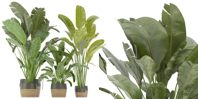 Collection Plant Vol 275 - Blender Model 3D Модель .c4d .max .obj .3ds .fbx .stl .blend 
