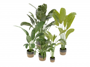 Collection Plant Vol 275 - Blender Model 3D Модель
