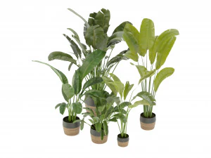 Collection Plant Vol 275 - Blender Model 3D Model
