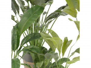 Collection Plant Vol 275 - Blender Model 3D Модель