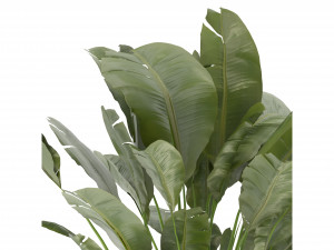 Collection Plant Vol 275 - Blender Model 3D Модель
