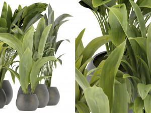 Collection Plant Vol 276 - Blender Model 3D Model