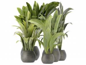 Collection Plant Vol 276 - Blender Model Modelo 3D