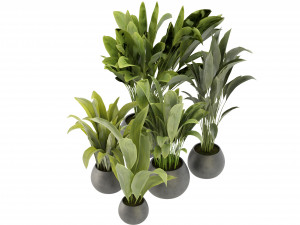 Collection Plant Vol 276 - Blender Model Modelo 3D