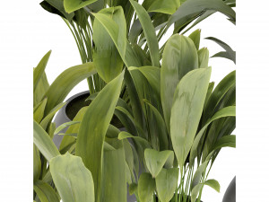 Collection Plant Vol 276 - Blender Model Modelo 3D