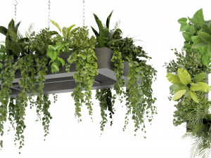 Collection Plant Vol 279 - Blender Model 3D Модель