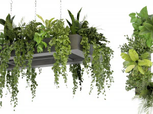 Cole&ccedil;&atilde;o Plant Vol 279 - Modelo Blender Modelo 3D