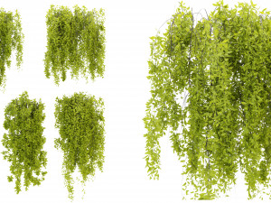 Collection Plant Vol 281 - Blender Model 3D Model