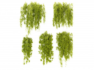 Collection Plant Vol 281 - Blender Model Modelo 3D